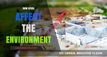 Urban Impact: How Cities Shape and Challenge Our Environment