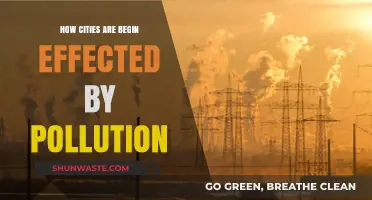 Pollution's Impact: Cities Choking Under the Smog