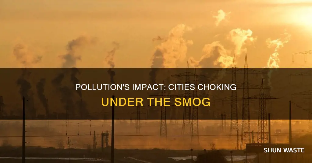 how cities are begin effected by pollution
