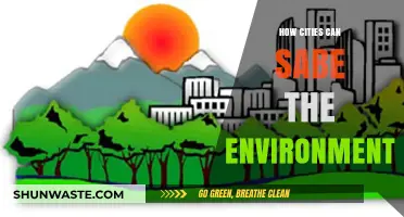 Urban Solutions: How Cities Can Lead Environmental Conservation Efforts