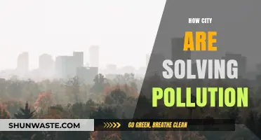 Cities' Strategies to Combat Pollution