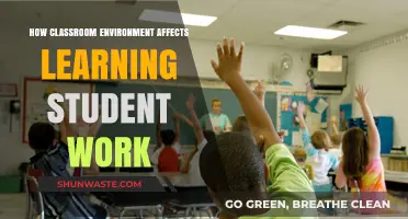 Classroom Environment Impact: Shaping Student Learning and Academic Success