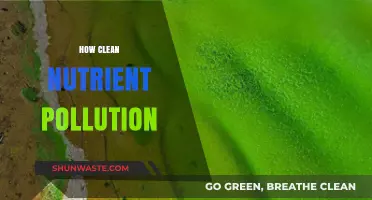 Cleaning Nutrient Pollution: A Guide to Restoring Waterways