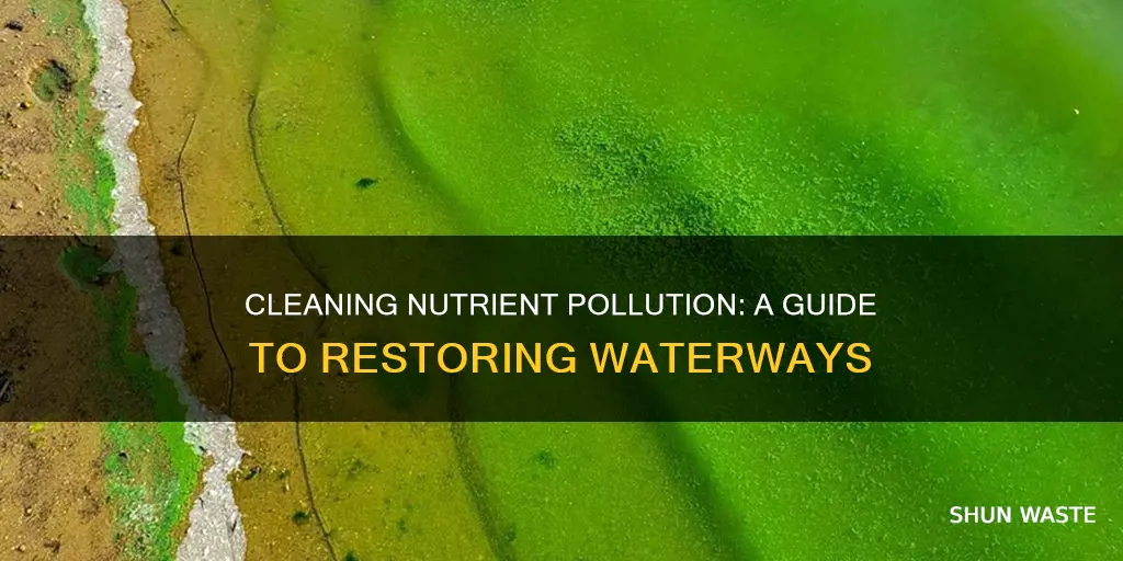 how clean nutrient pollution