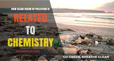 Chemistry's Role in Reviving Our Polluted Oceans