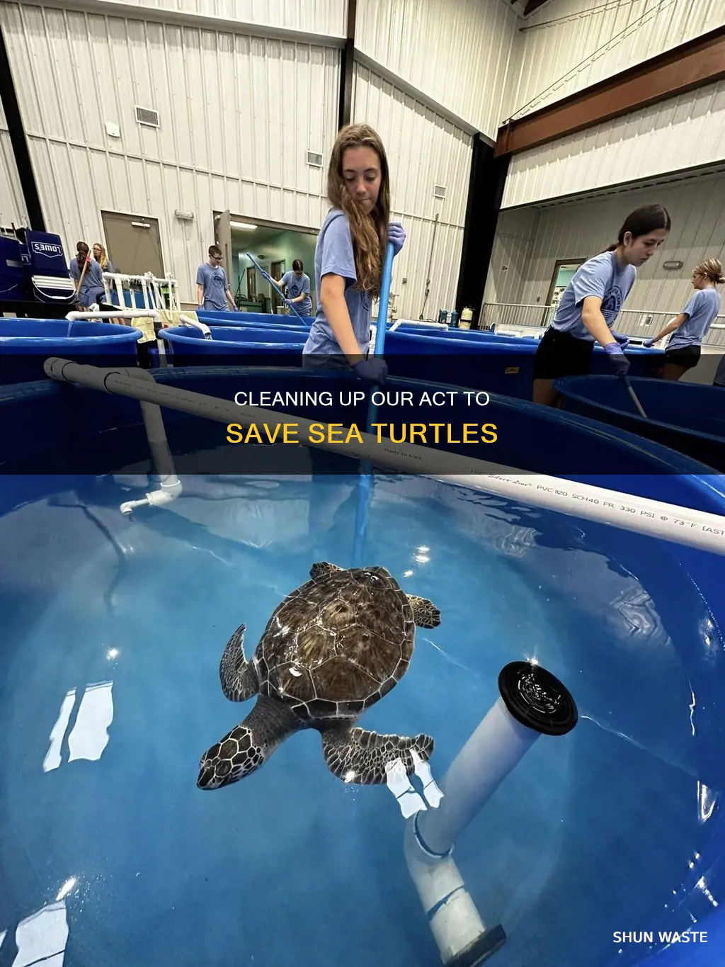 how cleaning pollution helps sea turtles