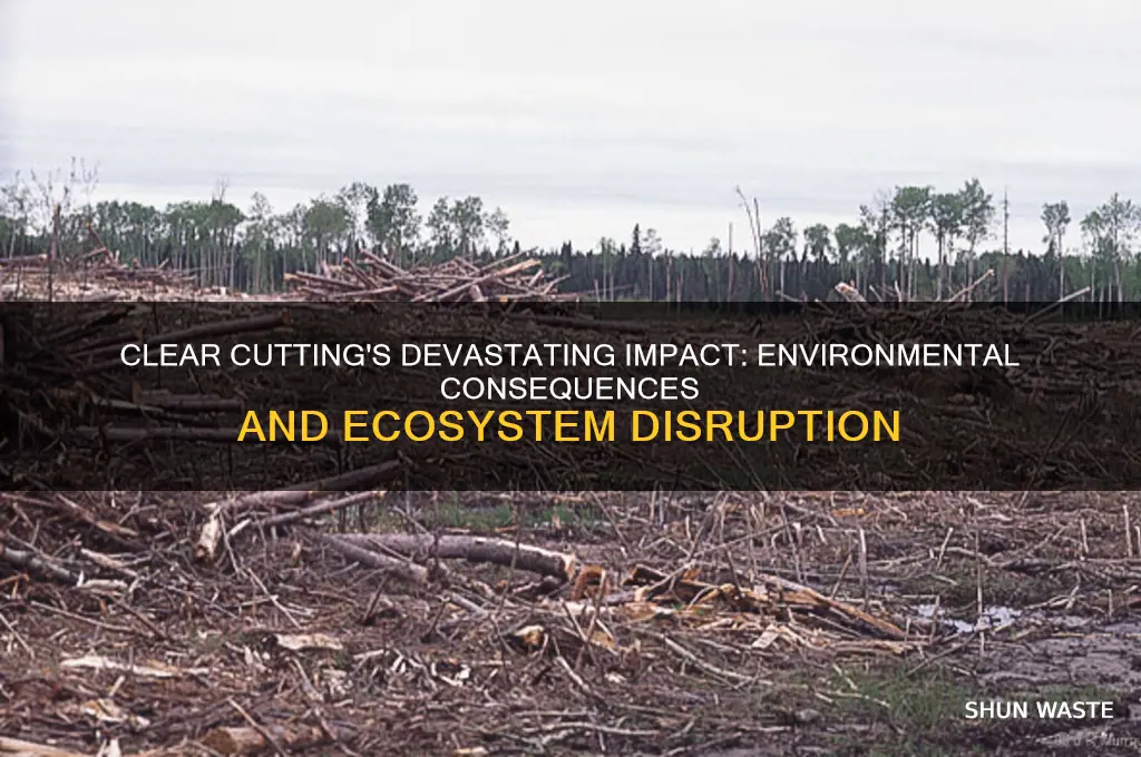 how clear cutting affects the environment