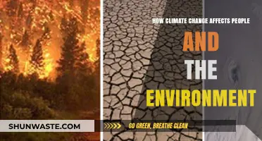 Climate Change Impacts: People, Environment, and Our Shared Future