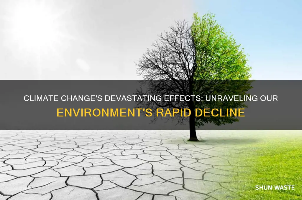 how climate change is negativity impacting our environment