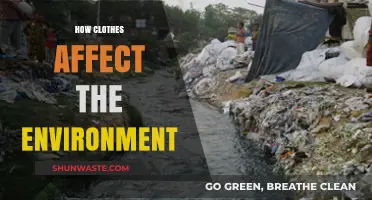 The Environmental Impact of Fashion: How Clothes Shape Our Planet