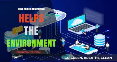Cloud Computing: A Green Revolution for Sustainable Environmental Impact