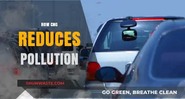 CNG: A Cleaner, Greener Fuel Option