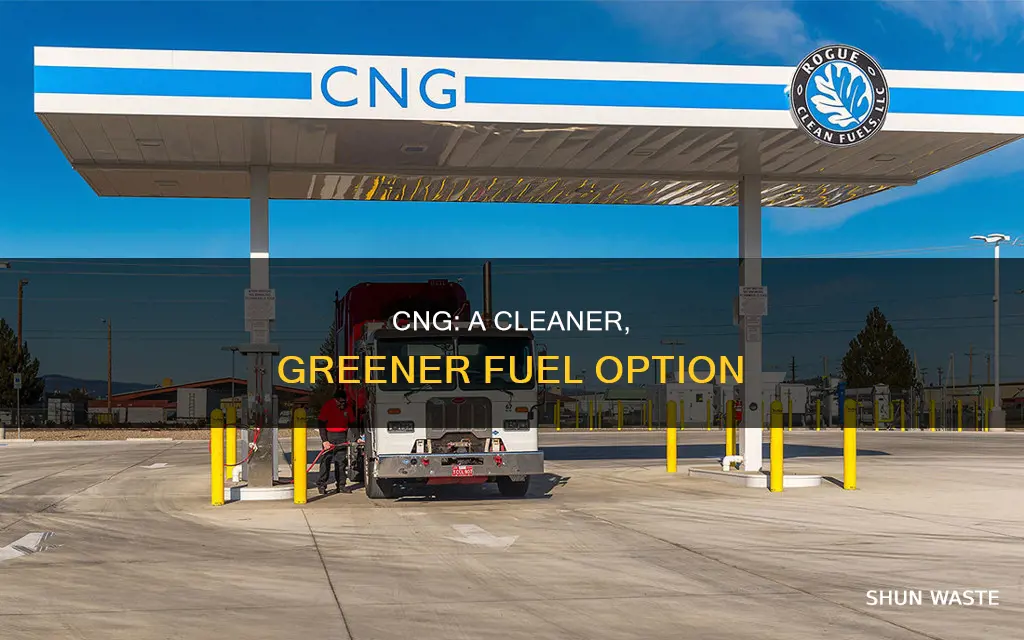 how cng reduces pollution
