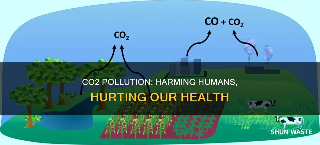 how co2 pollution effects humans
