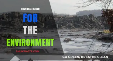 Coal's Devastating Impact: Pollution, Climate Change, and Environmental Destruction