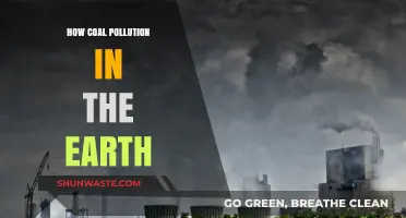 Coal Pollution: A Global Climate Catastrophe