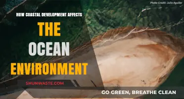 Coastal Development's Impact: Threats to Ocean Ecosystems and Solutions