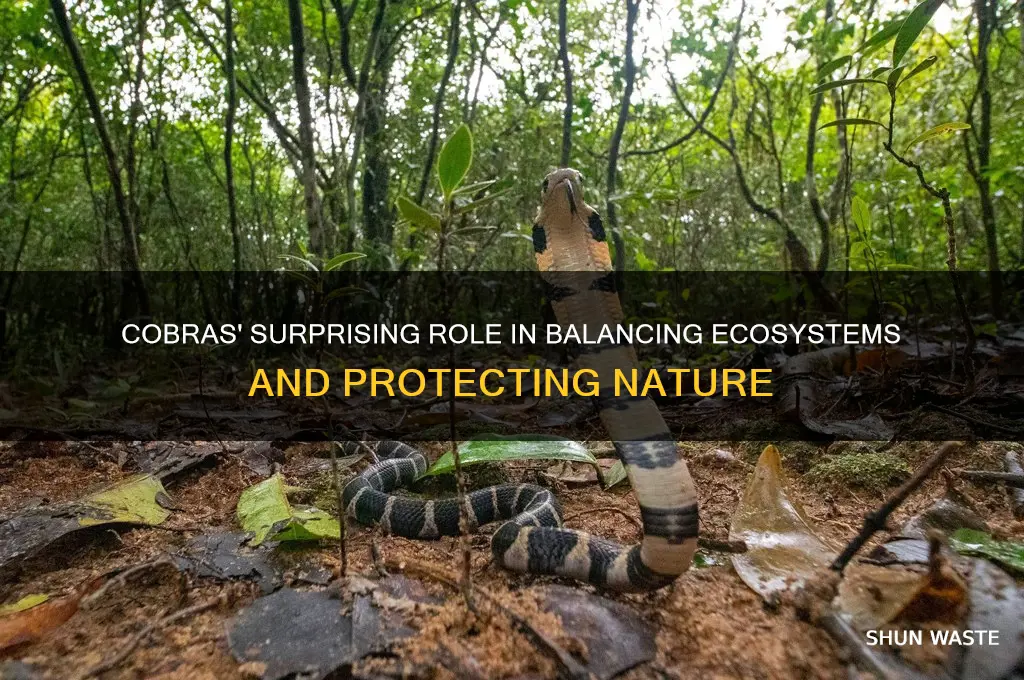 how cobras can help the environment
