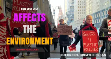 Coca-Cola's Environmental Impact: Pollution, Plastic Waste, and Sustainability Challenges