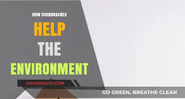 Cockroaches: Unsung Eco-Heroes in Nature's Recycling System