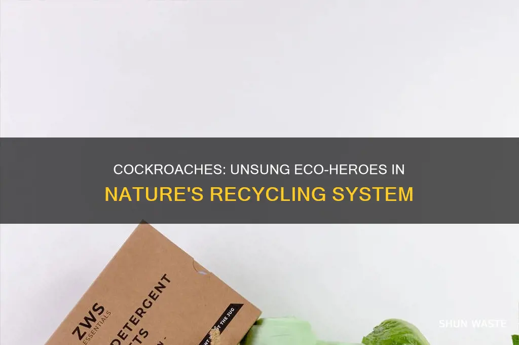 how cockroaches help the environment