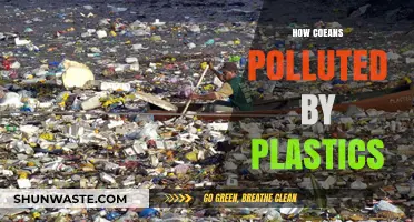 Plastic Pollution: Oceans in Peril