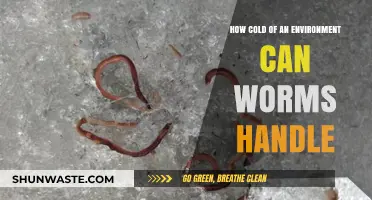 Worms in Winter: Exploring Their Cold Tolerance Limits