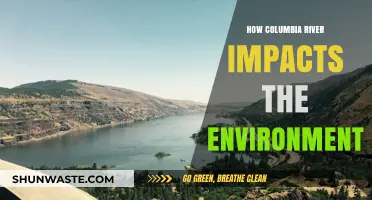 Columbia River's Environmental Impact: Ecology, Economy, and Ecosystem Changes