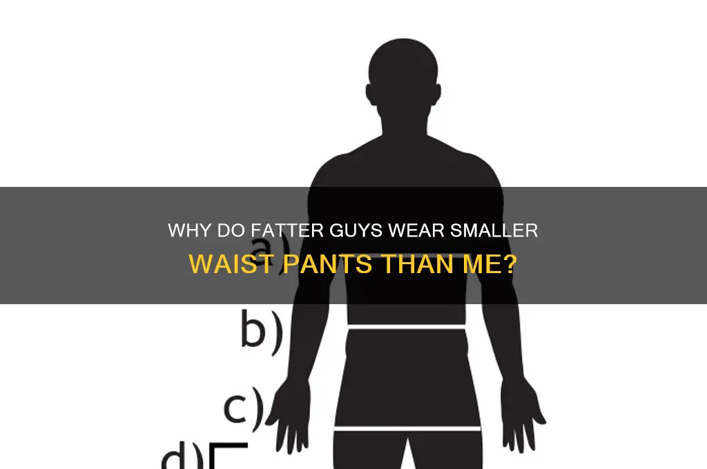 how come fatter guys wear smaller waste pants than me