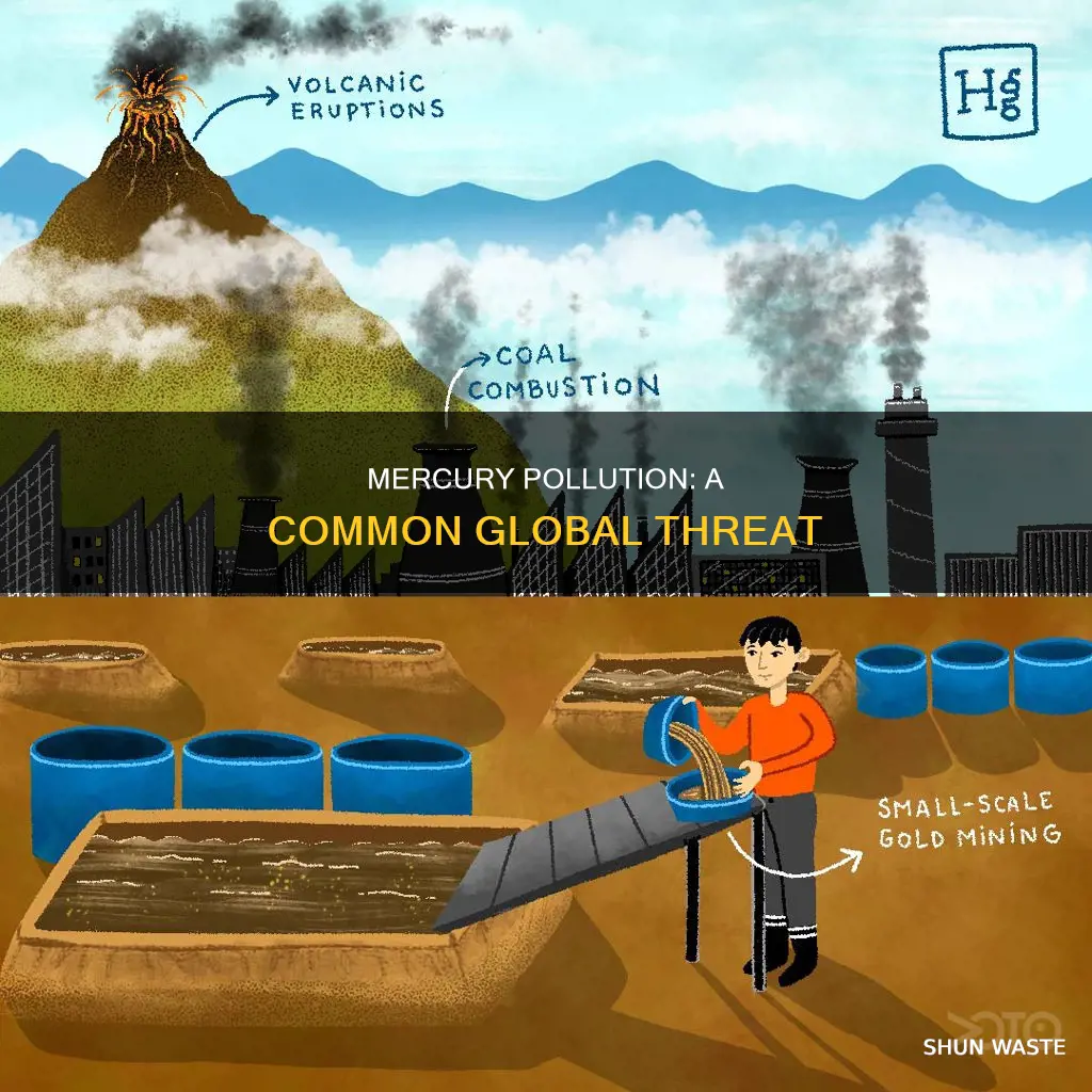 how common is mercury pollution