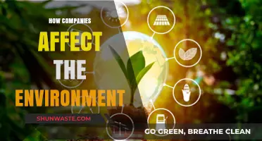 Corporate Environmental Impact: How Businesses Shape Our Planet's Future