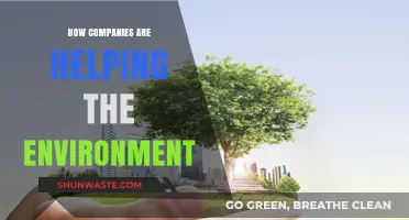 Sustainable Business Practices: How Companies Are Protecting Our Planet