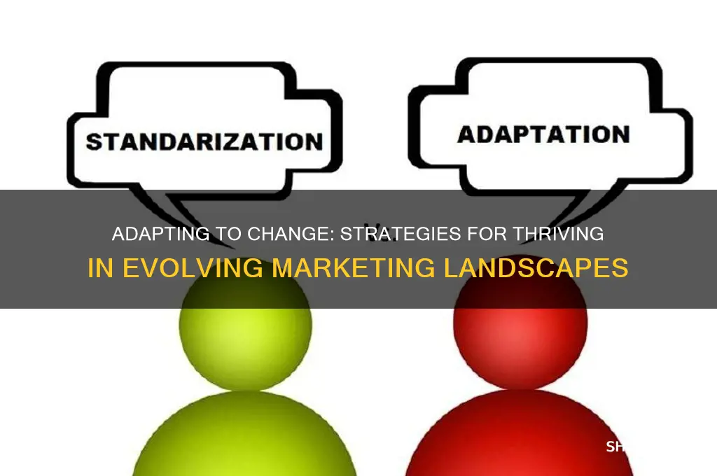 how companies can react to the changing marketing environment