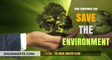 Sustainable Business Strategies: How Companies Can Protect Our Planet