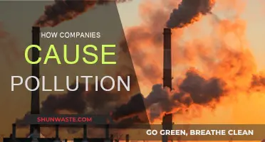 Corporate Pollution: Unveiling the Hidden Costs of Business