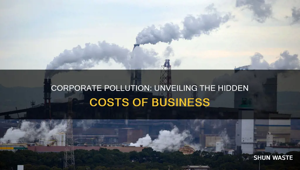 how companies cause pollution