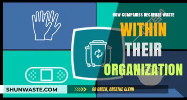 Sustainable Strategies: How Companies Minimize Waste and Maximize Efficiency