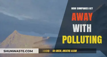 Corporate Polluters: Evading Responsibility and Accountability