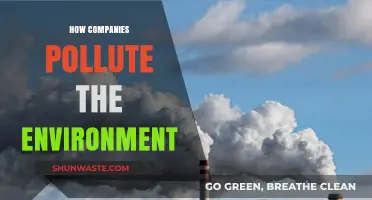 Corporate Environmental Degradation: Polluting Our Planet for Profits