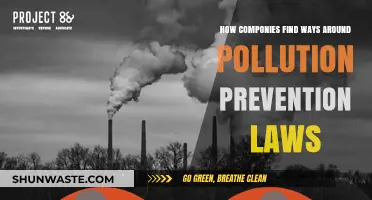 Pollution Prevention Laws: How Companies Bend the Rules