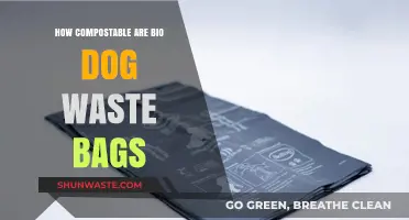 Are Bio Dog Waste Bags Truly Compostable? A Green Pet Owner's Guide