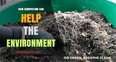 Composting for a Greener Future: Environmental Benefits and Simple Tips