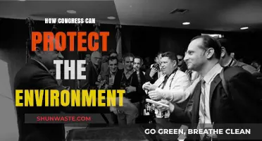 Congress' Role in Safeguarding Our Environment: Policies for a Greener Future