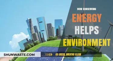 Energy Conservation: A Powerful Tool to Protect Our Environment