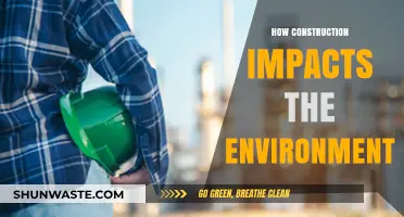 Construction's Environmental Footprint: Impacts, Challenges, and Sustainable Solutions