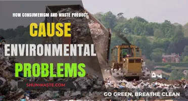 Consumerism's Dark Side: How Waste Products Harm Our Environment