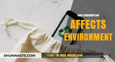 Consumption's Impact: How Our Choices Shape the Environment's Future