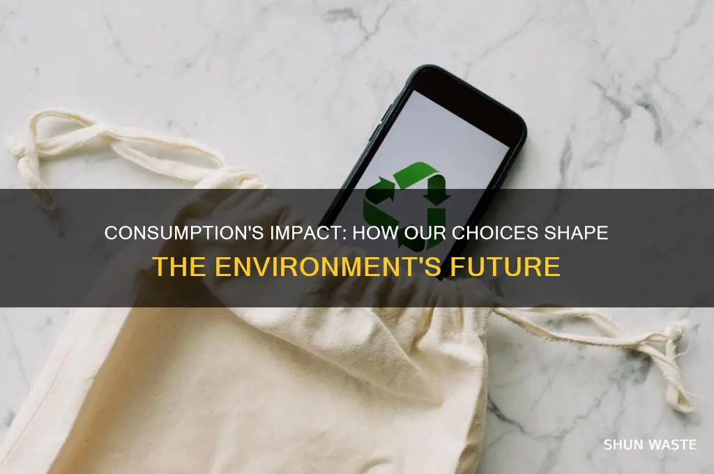 how consumption affects environment