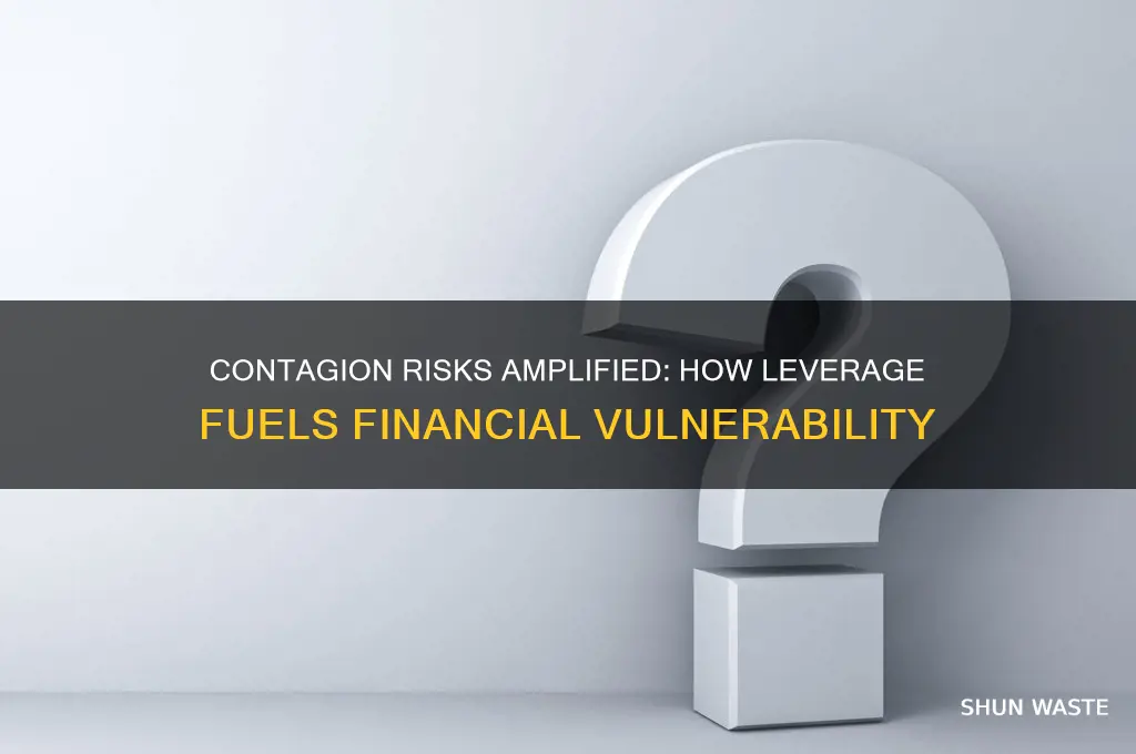 how contagions work in high leveraged environment