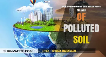 Soil Contamination: Cleaning Up Polluted Earth
